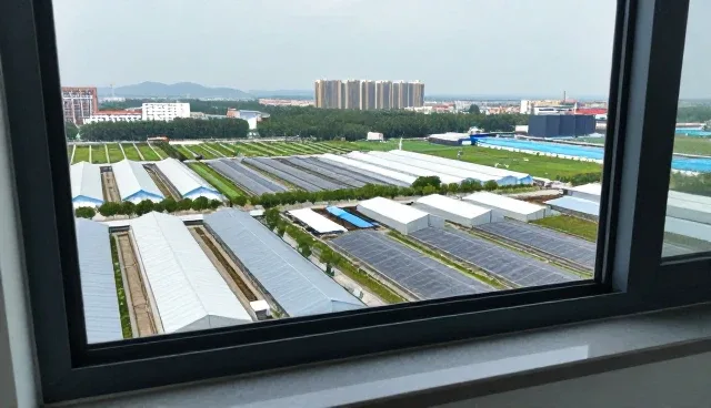 如何通过企业信息查询辅助业务决策